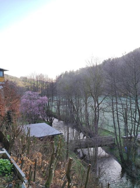 Ferienwohnung Lange Brilon Extérieur photo